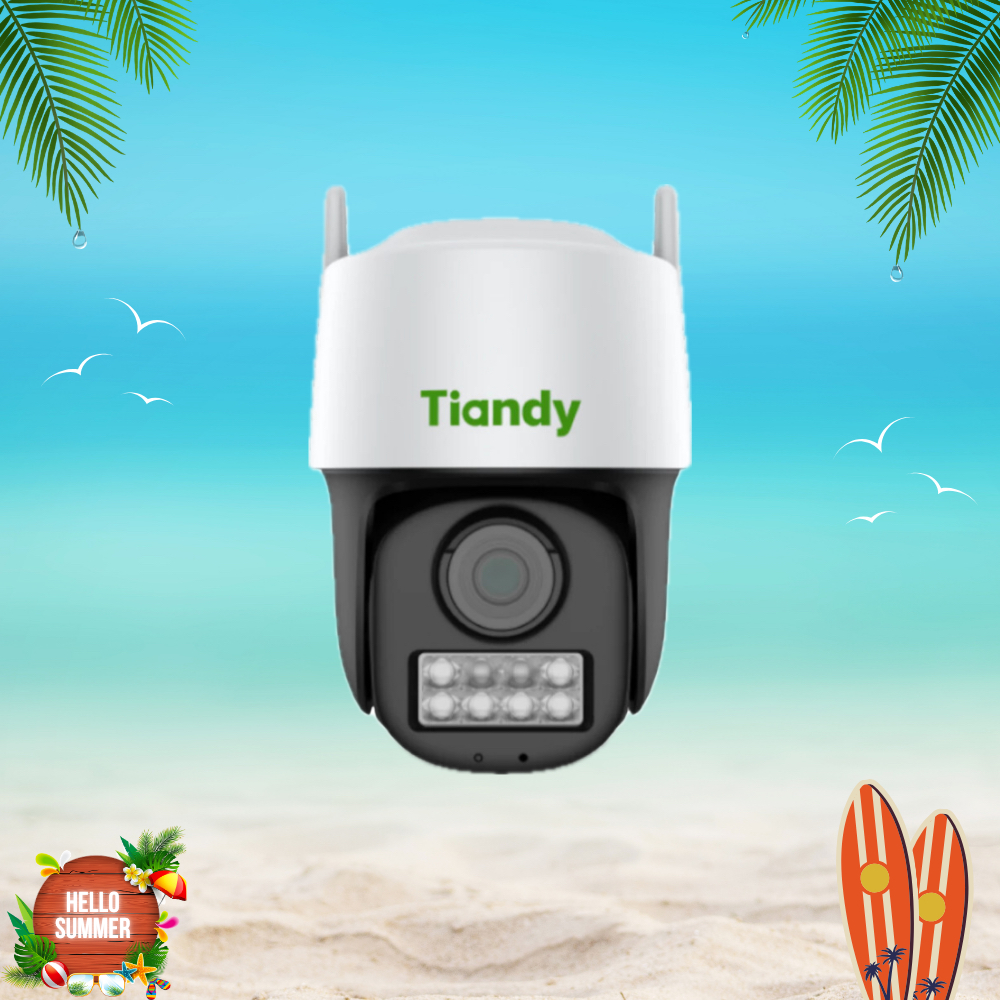 CAMERA WIFI TIANDY  TC-H333N
