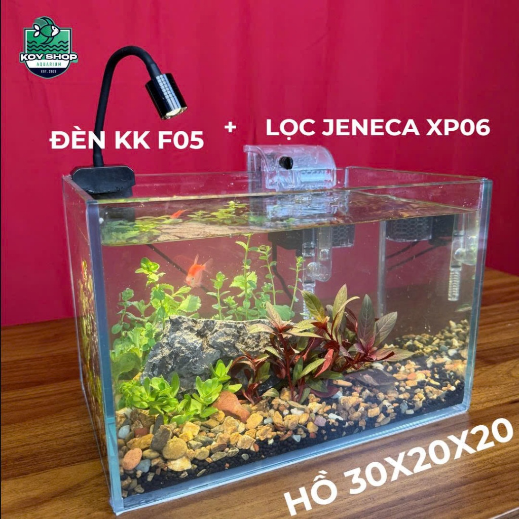 Combo bể cá mini - hồ cá kích thước 30x20x20 kèm đá sỏi , cây thủy sinh đèn led máy lọc nước- bảo hà