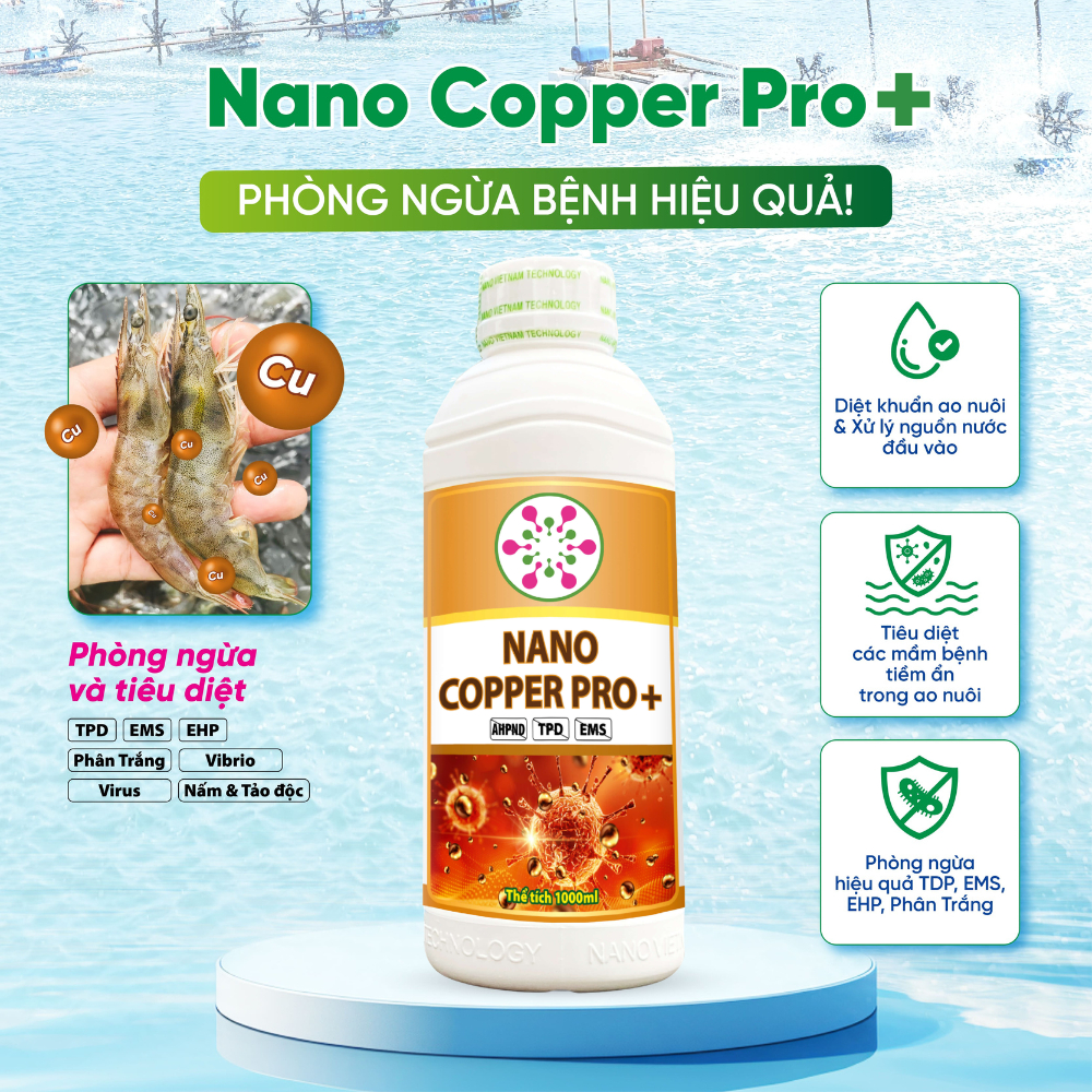 Nano Copper Pro (Nano Đồng) chuyên xử lý vi khuẩn, nấm đồng tiền, TPD, EMS, tảo độc, ký sinh trùng c