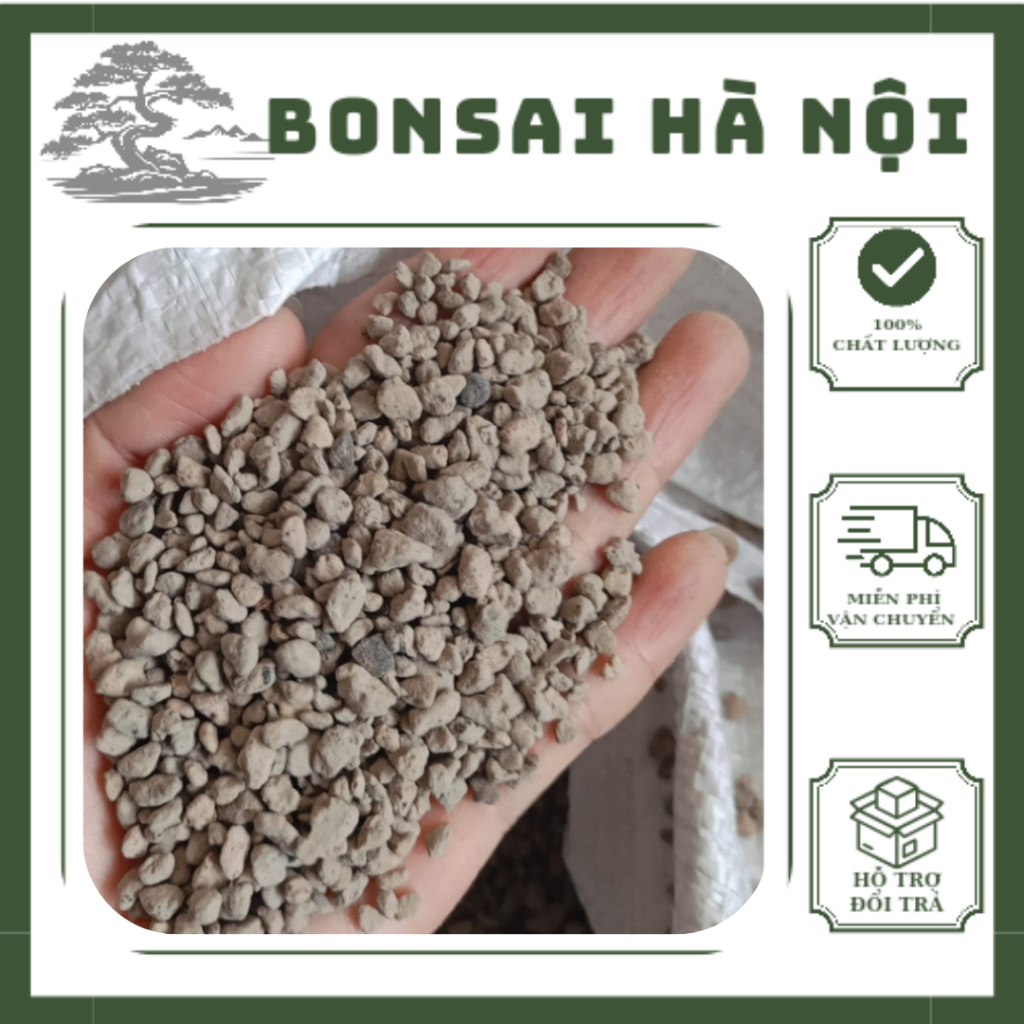 Túi 1kg đá bọt Pumice (đủ size)