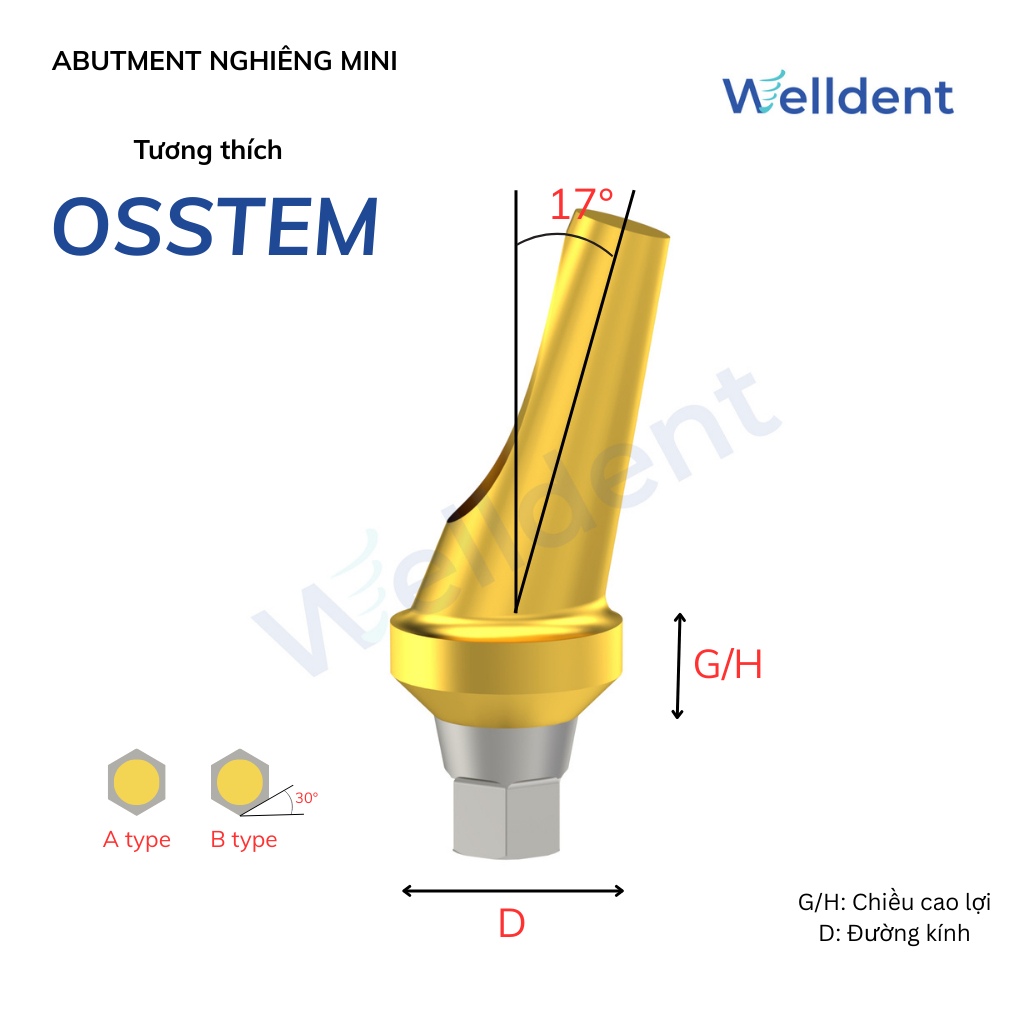 Abutment Nghiêng Mini - Tương thích với Osstem, Hiossen, Megagen ST Mini Implant