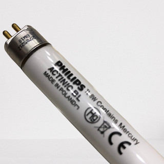 2 Bóng Đèn Thay Thế Đèn Muỗi Đại Sinh DS-D82 SIÊU BỀN HÀNG CHÍNH HÃNG ( 8w )