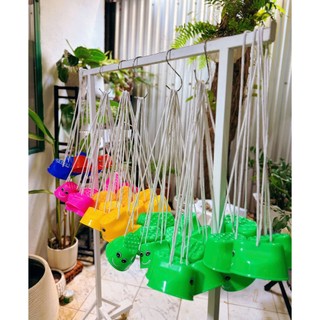 [Game vận động] Bộ Cà Kheo Cho Bé