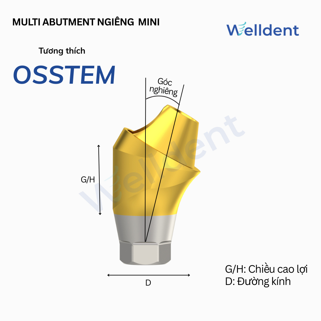 Multi Abutment Mini nghiêng 17, 30 độ – Tương thích với Osstem, Neobiotech ,  Hiossen, Megagen ST Mi
