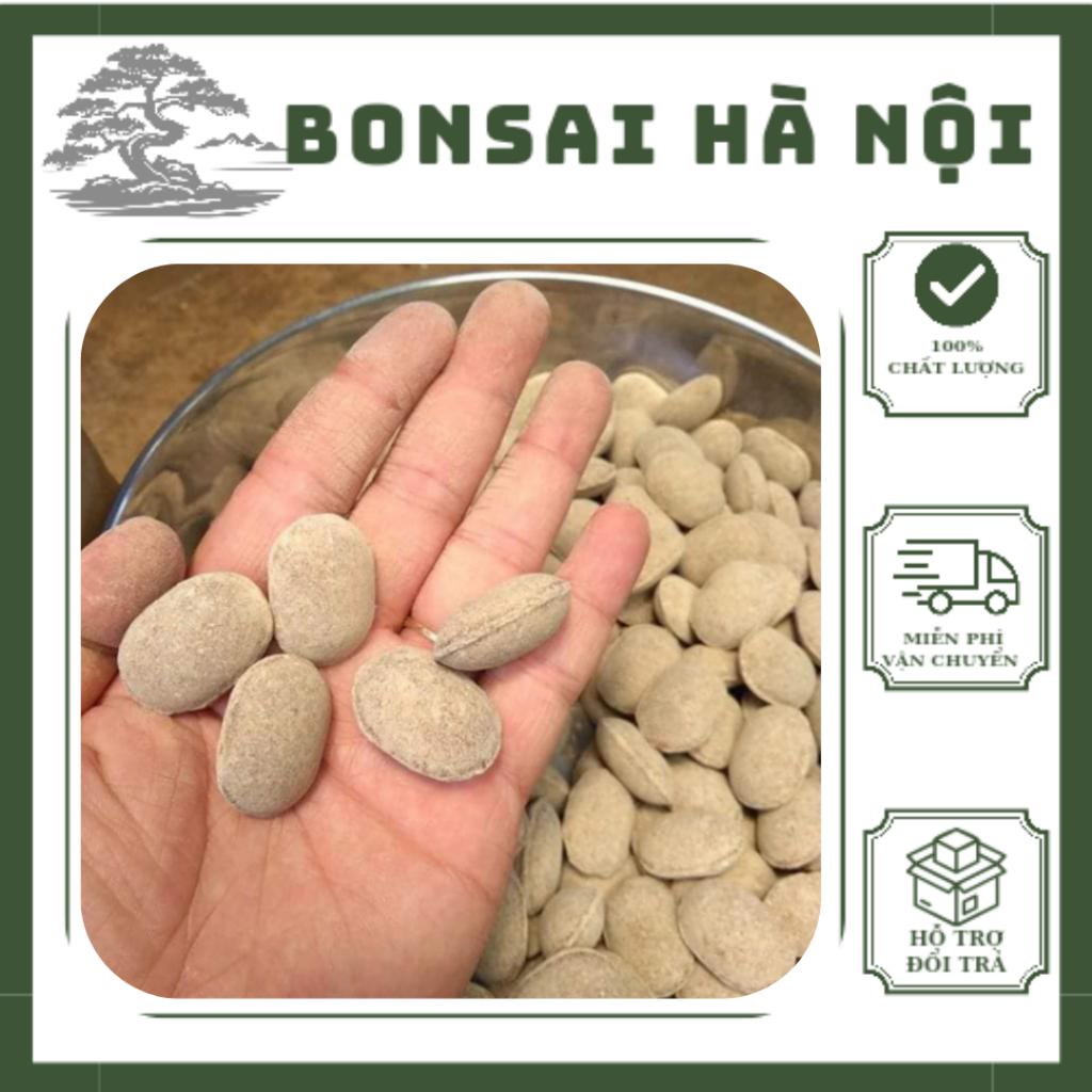 (Lẻ viên) Phân tan chậm hạt bàng 12-6-6