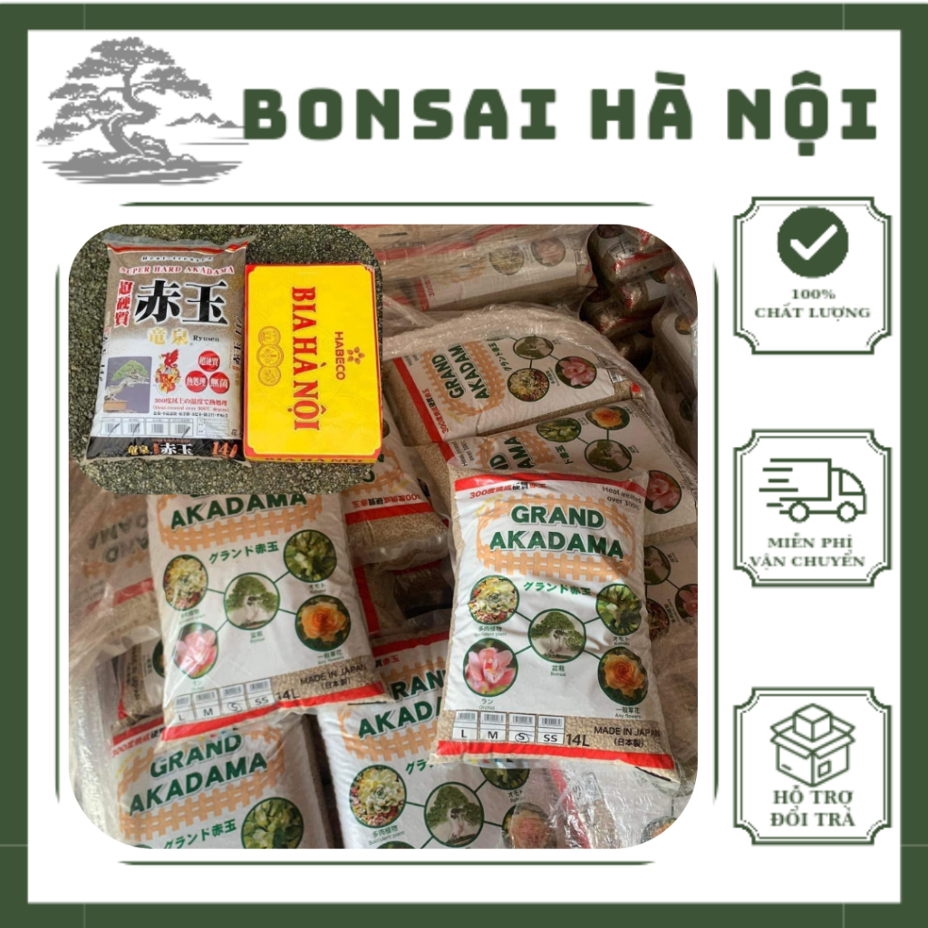 Đất nung Akadama Nhật Bản trồng sen đá, xương rồng, bonsai