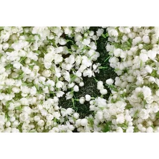 Quà Tặng Bố Mẹ, Người Thân - Trà Lài – Trà Xanh Ướp Hoa Lài, Hương Tinh Tế, Ngọt Hậu