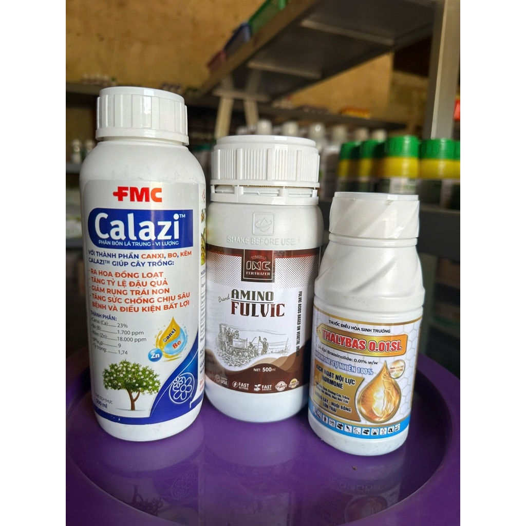 Combo dưỡng bông dưỡng trái - AMINO + CALAZI + THALYBAS