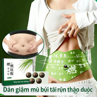 Miếng Dán Giảm Béo Thảo Dược Mugwort (Ngải Cứu) - Hỗ Trợ Đốt Cháy Mỡ Bụng An Toàn & Dịu Nhẹ