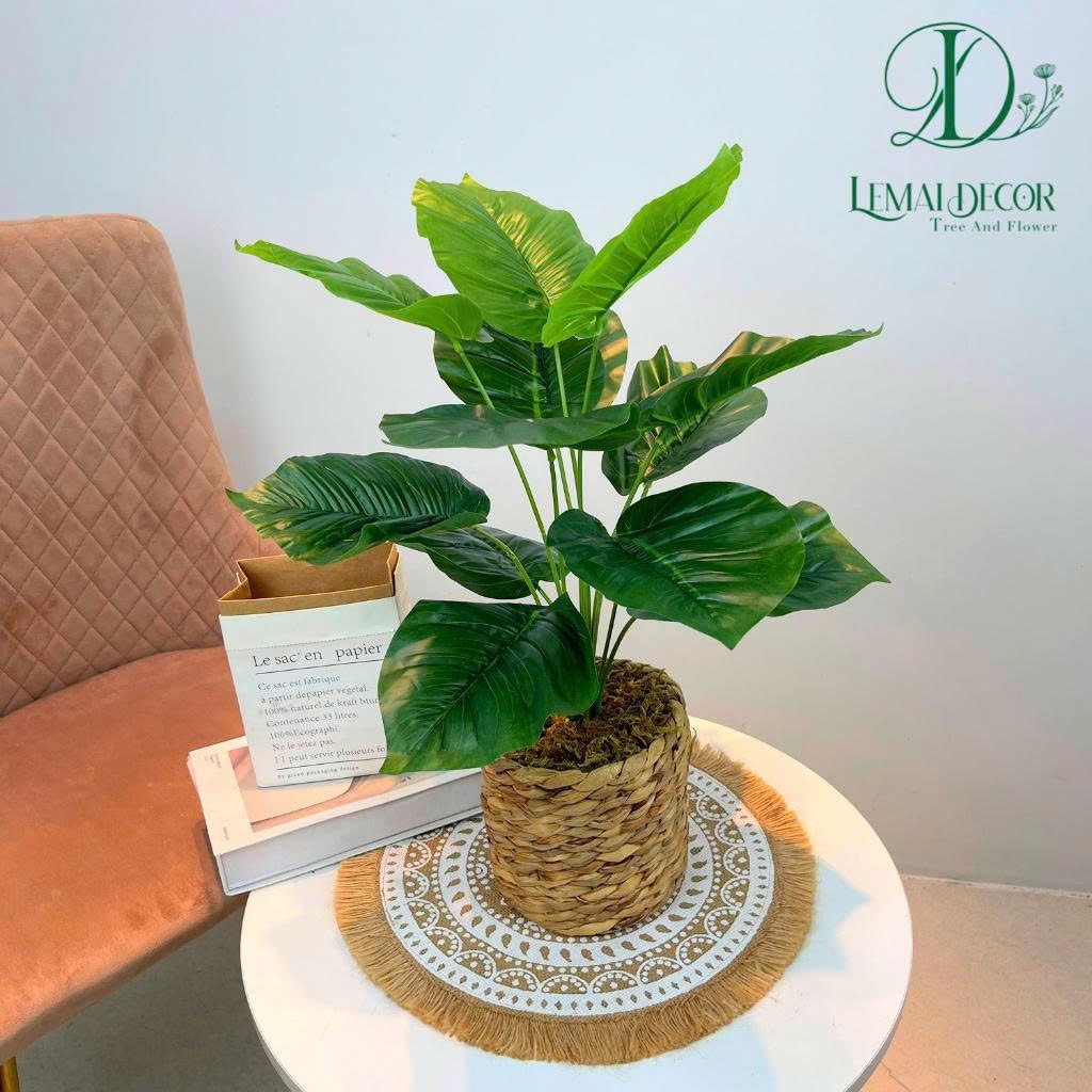 Chậu cây nhựa để bàn học, bàn làm việc, chậu cây giả trang trí cao 40cm - 70cm