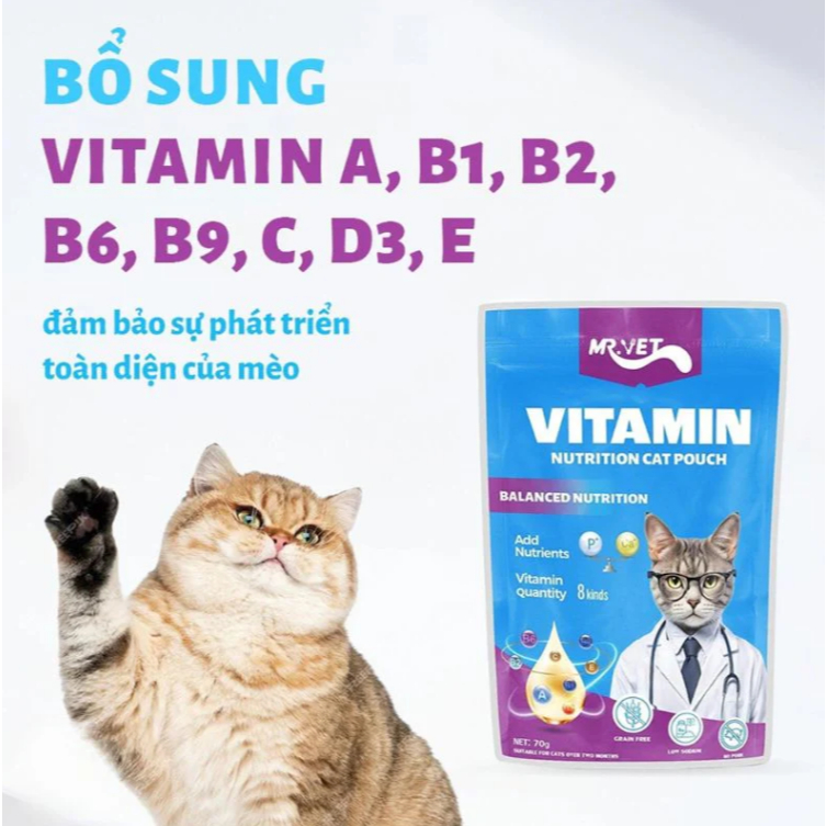 Pate Cho Mèo MRVET Gói 70G VitaMin A, B1, B2, B6,B9, C, D3, E Phát Triển Toàn Diện