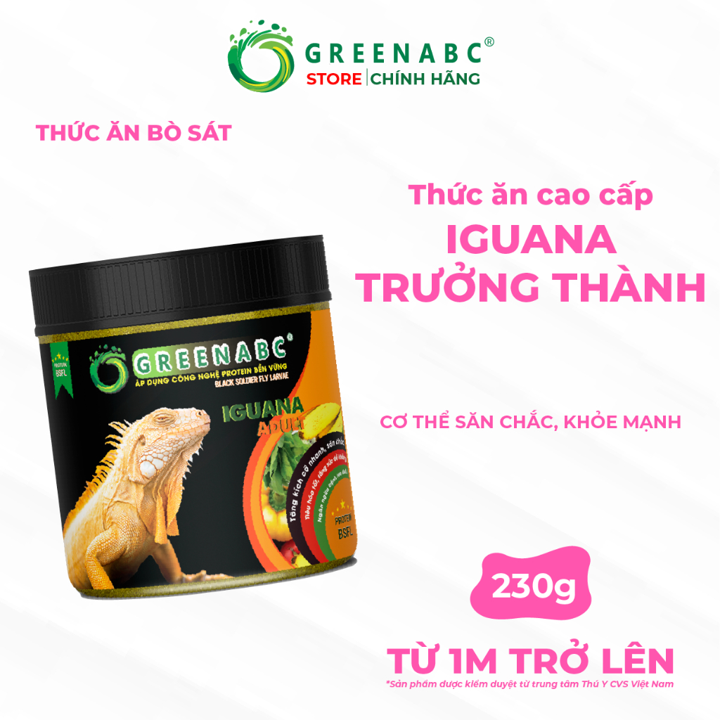 Thức ăn Iguana Trưởng Thành GREENABC. Dành cho Iguana từ 1m trở lên – Gai bung, gù cao, dáng đẹp, lê