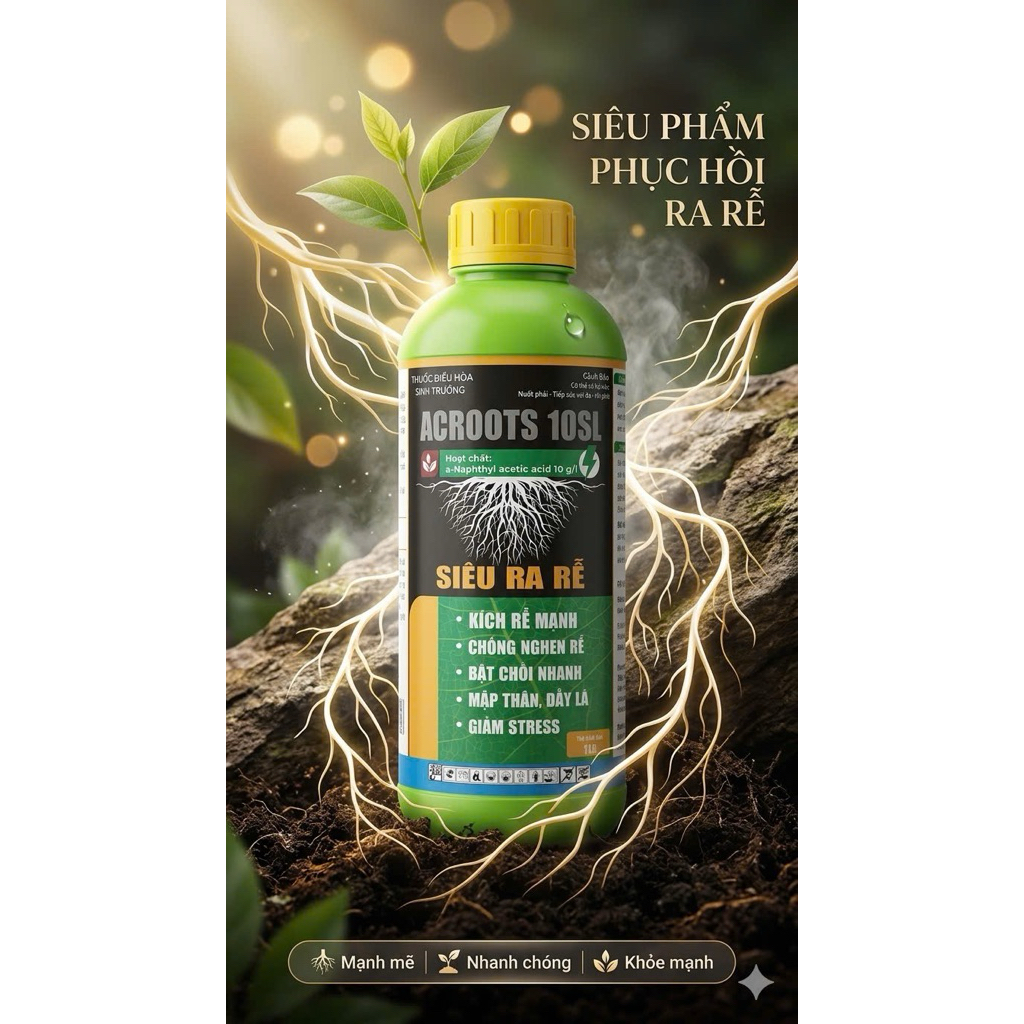 Acroots 10SL là 1 Auxin NAA Giúp cây trồng phát triển rễ mạnh