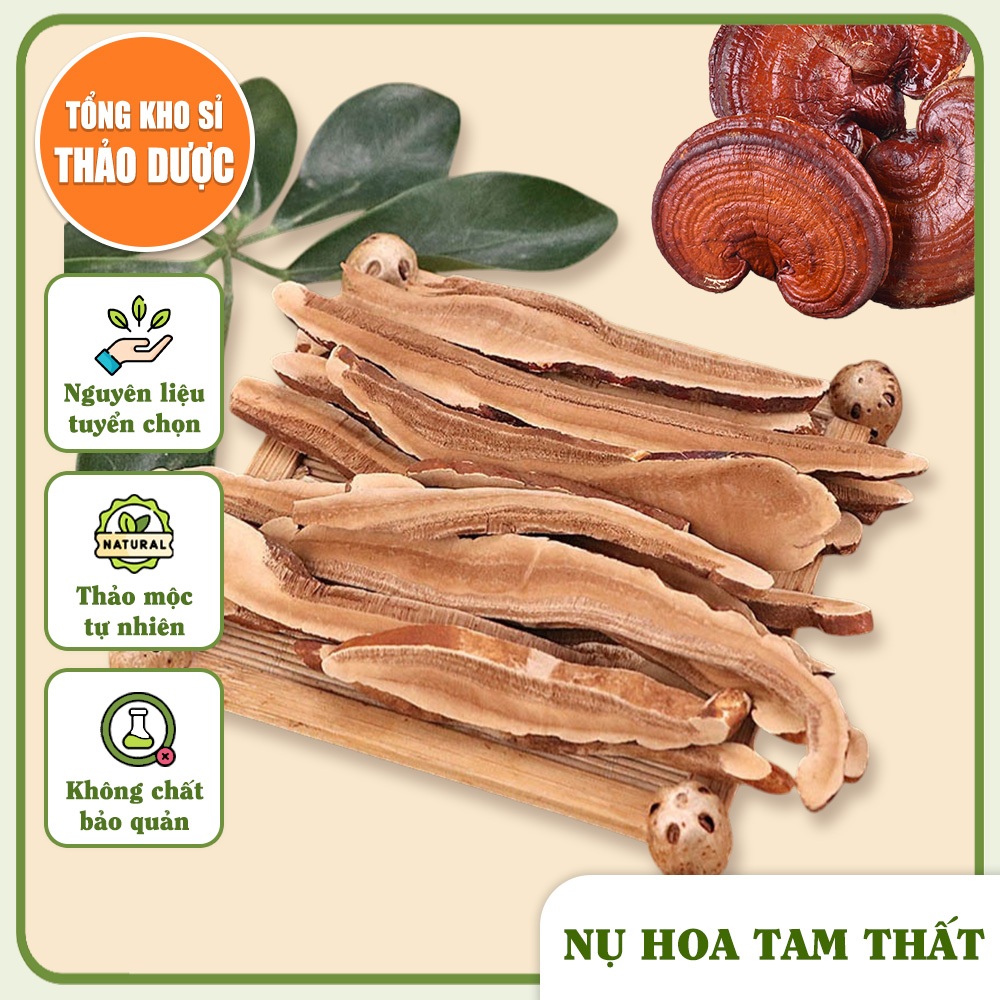 Nấm linh chi hàn quốc 100g (Nấm linh chi đỏ, ổn định huyết áp, tăng cường miễn dịch)
