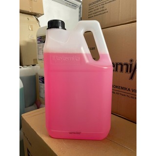DUNG DỊCH RỬA XE KHÔNG CHẠM EKOKEMIKA BIO 20-5L