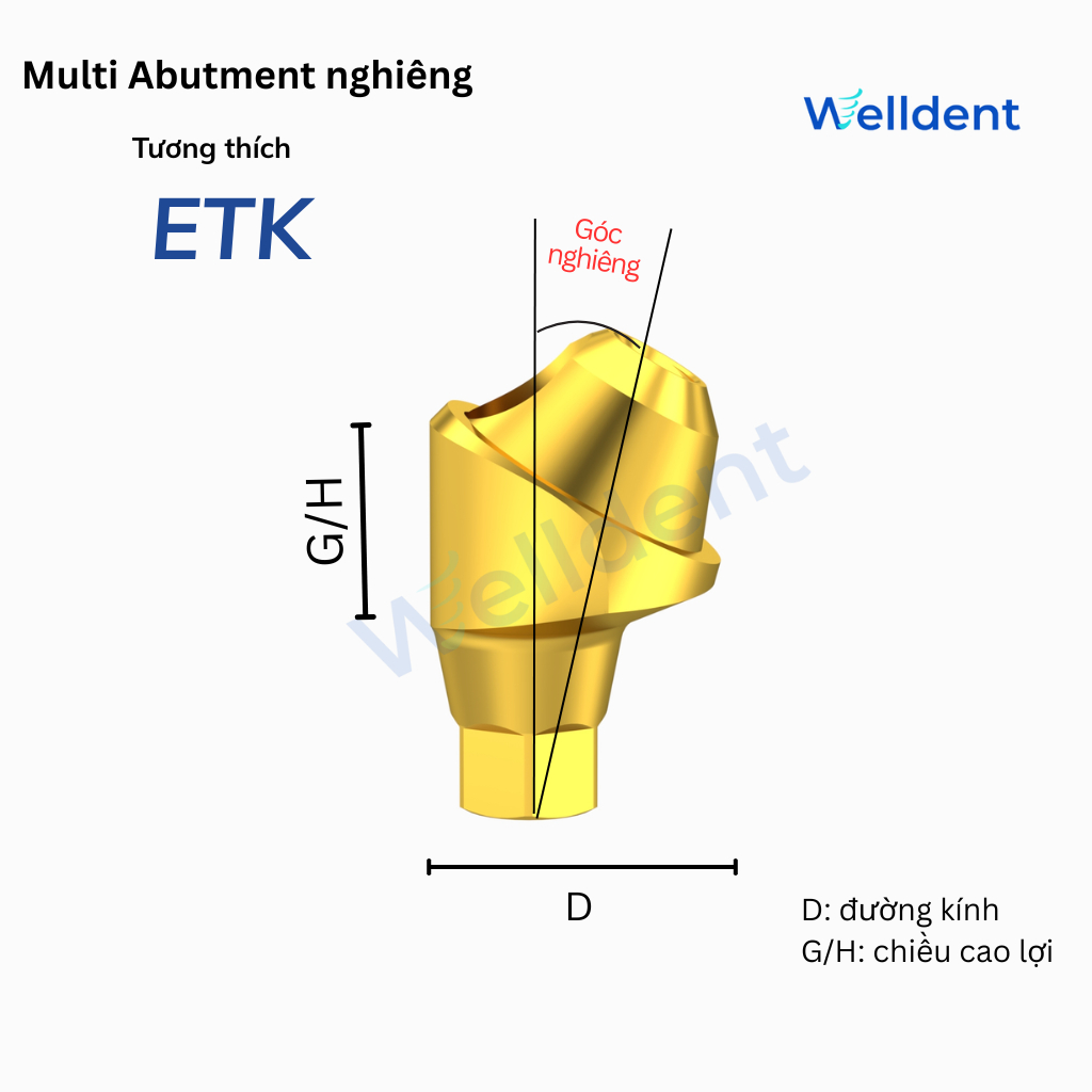 Multi Abutment Nghiêng 17, 30 độ – Tương thích với ETK Implant System