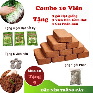 [TẶNG 9 MÓN] Combo 10 viên nén xơ dừa, đất trồng cây, trồng hoa, trồng rau