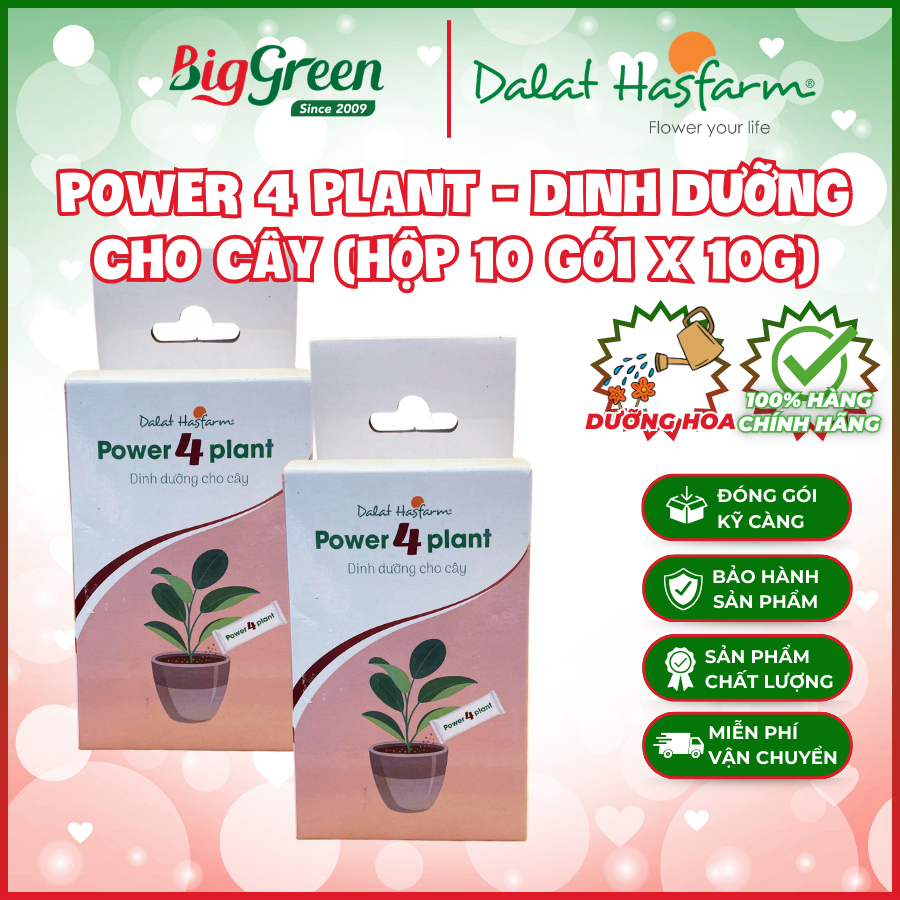 Power 4 Plant Dinh Dưỡng Cho Cây (hộp 10 gói x 10g) - Hasfarm