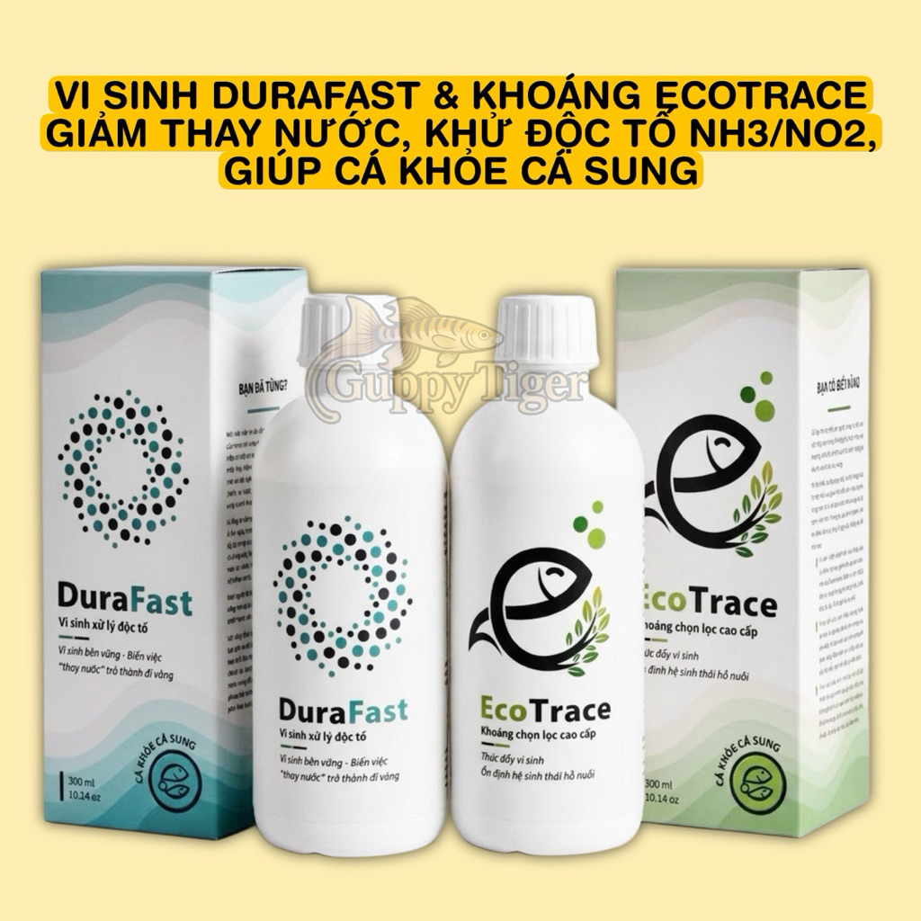 VI SINH DURAFAST & KHOÁNG ECOTRACE GIẢM THAY NƯỚC, KHỨ ĐỘC TO NH3/NO2, GIÚP CÁ KHÓE CÁ SUNG