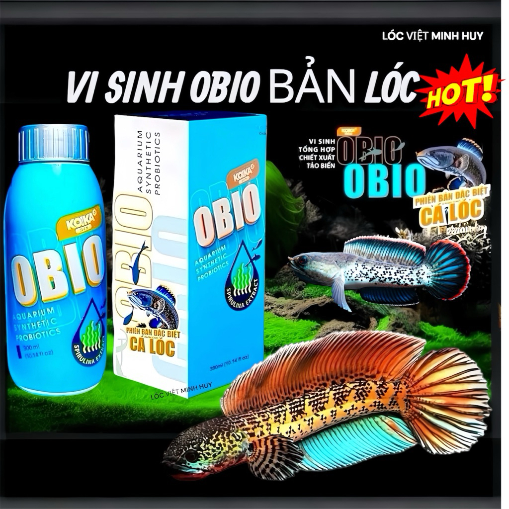 Vi sinh Obio Bản cho Lóc cảnh Koika obio 30ml 180ml 300ml giúp Làm Trong Nước, khử độc, khử mùi tanh