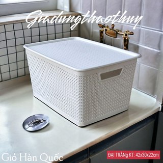 Combo 2 Giỏ L Đựng Đồ giả mây phong cách Hàn Quốc