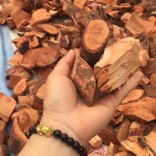 1Kg Rễ Mú Từn (Cù Boong Lậu) Sao Vàng Hạ Thổ, Ngâm Tửu Bổ Thận Tráng Dương, Hỗ Trợ Sức Khỏe Gân Cốt Nam Giới