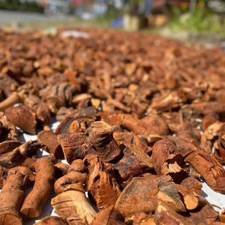 1Kg Rễ Mú Từn (Cù Boong Lậu) Sao Vàng Hạ Thổ, Ngâm Tửu Bổ Thận Tráng Dương, Hỗ Trợ Sức Khỏe Gân Cốt Nam Giới