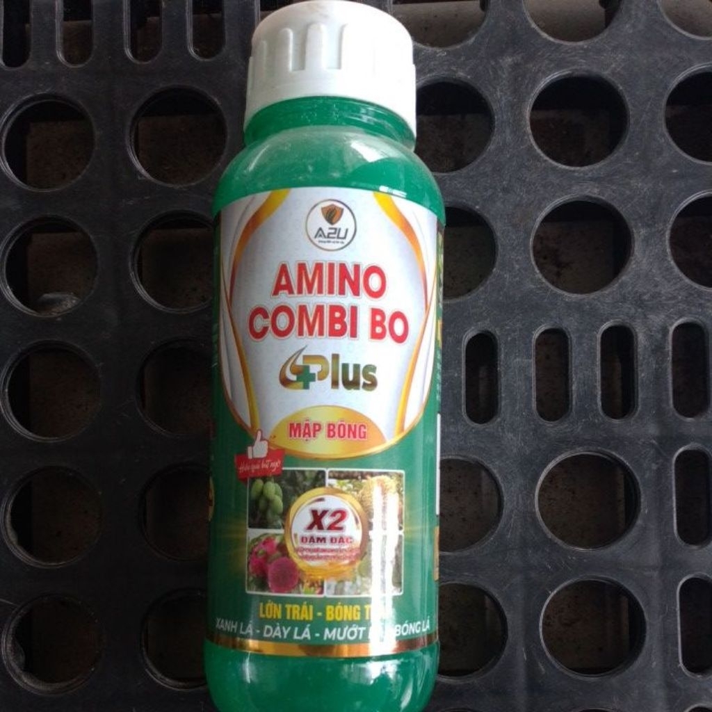 AMINO COMBI BO - CHAI 500ML