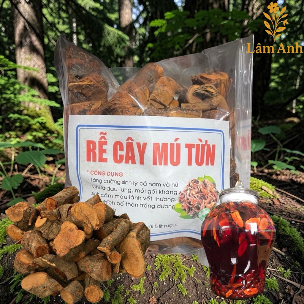 1Kg Rễ Mú Từn (Cù Boong Lậu) Sao Vàng Hạ Thổ, Ngâm Tửu Bổ Thận Tráng Dương, Hỗ Trợ Sức Khỏe Gân Cốt Nam Giới
