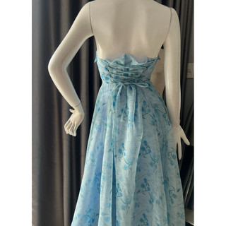 Đầm cúp ngực dáng dài SARA DRESS