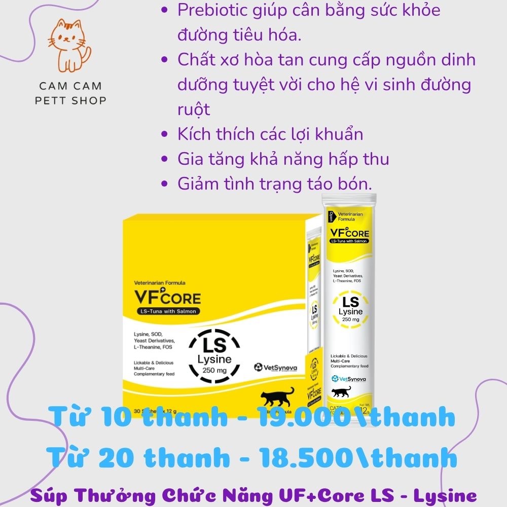 Súp Thưởng Chức Năng VF + Core LS - Lysine - Tăng cường miễn dịch, hỗ trợ điều trị FHV-1