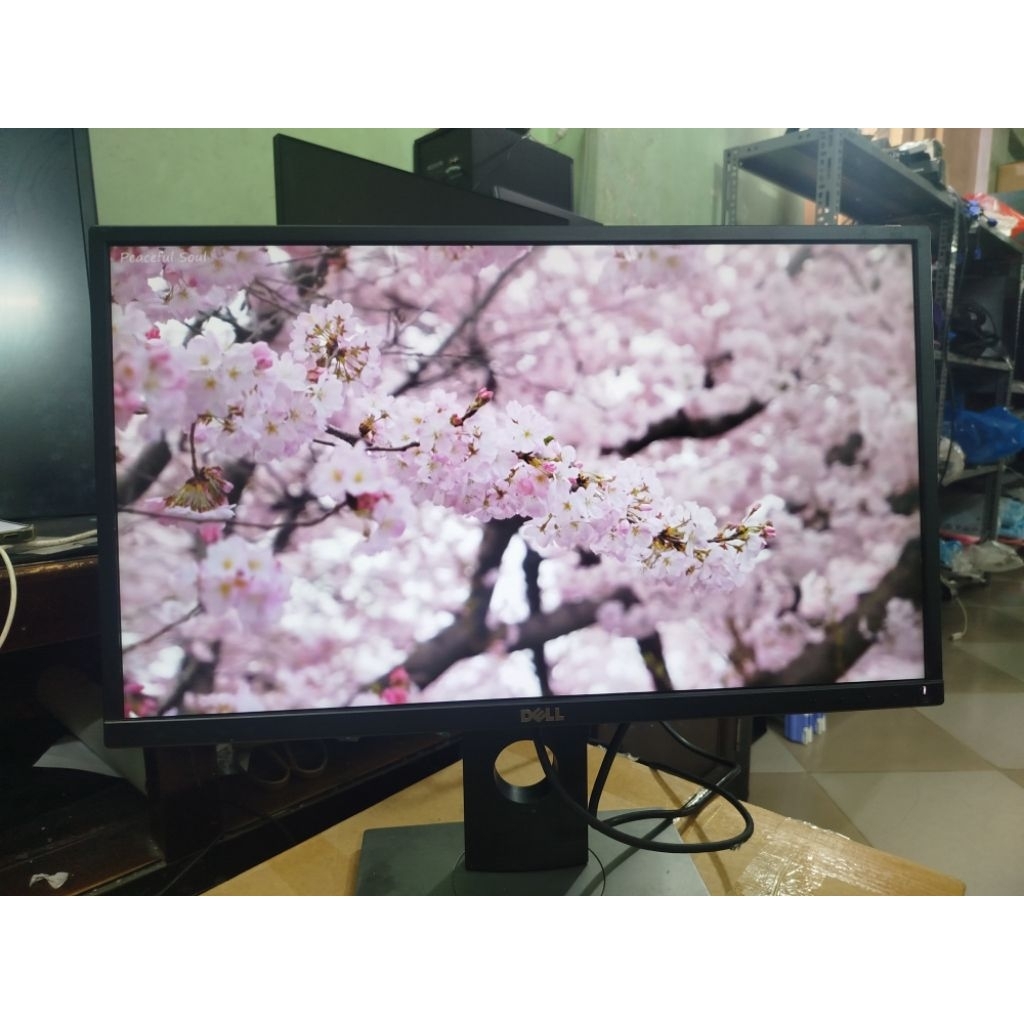 Màn hình Dell P2317h