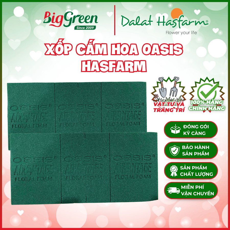 Xốp cắm hoa Oasis Hasfarm - Malaysia (bản lẻ)