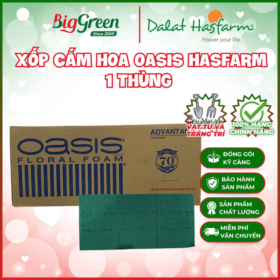 Xốp cắm hoa Oasis Hasfarm - Malaysia (1 thùng)
