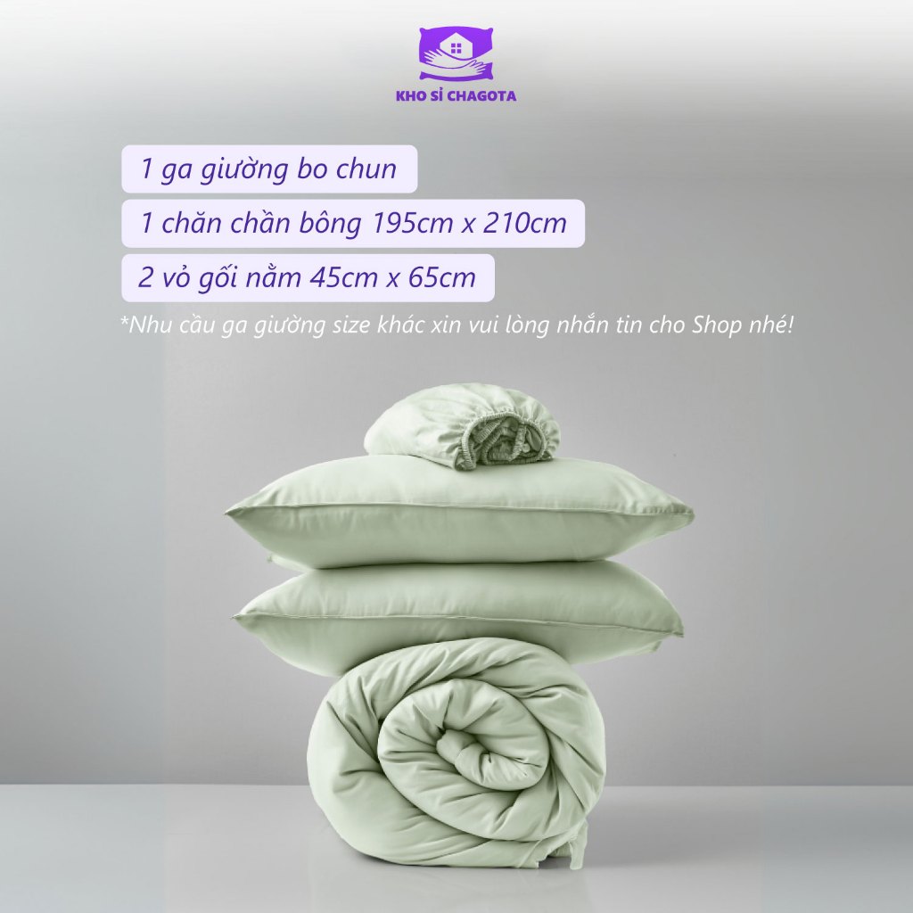 Bộ Chăn Ga Gối Lụa Silk Ice CHAGOTA, Size 1m2x2m - 2mx2m2, Công Nghệ Kháng Khuẩn, Màu Pastel Chuẩn Style Hàn Quốc | BigBuy360 - bigbuy360.vn
