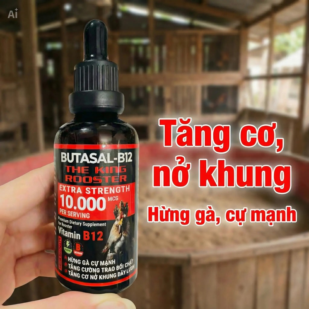 B12-10.000 THEKING 10.000mcg nuôi gà chế độ , tăng bo , nở khung
