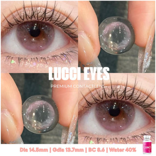 Elena purple [ Dia 14.5mm ] cận 0-7 diop