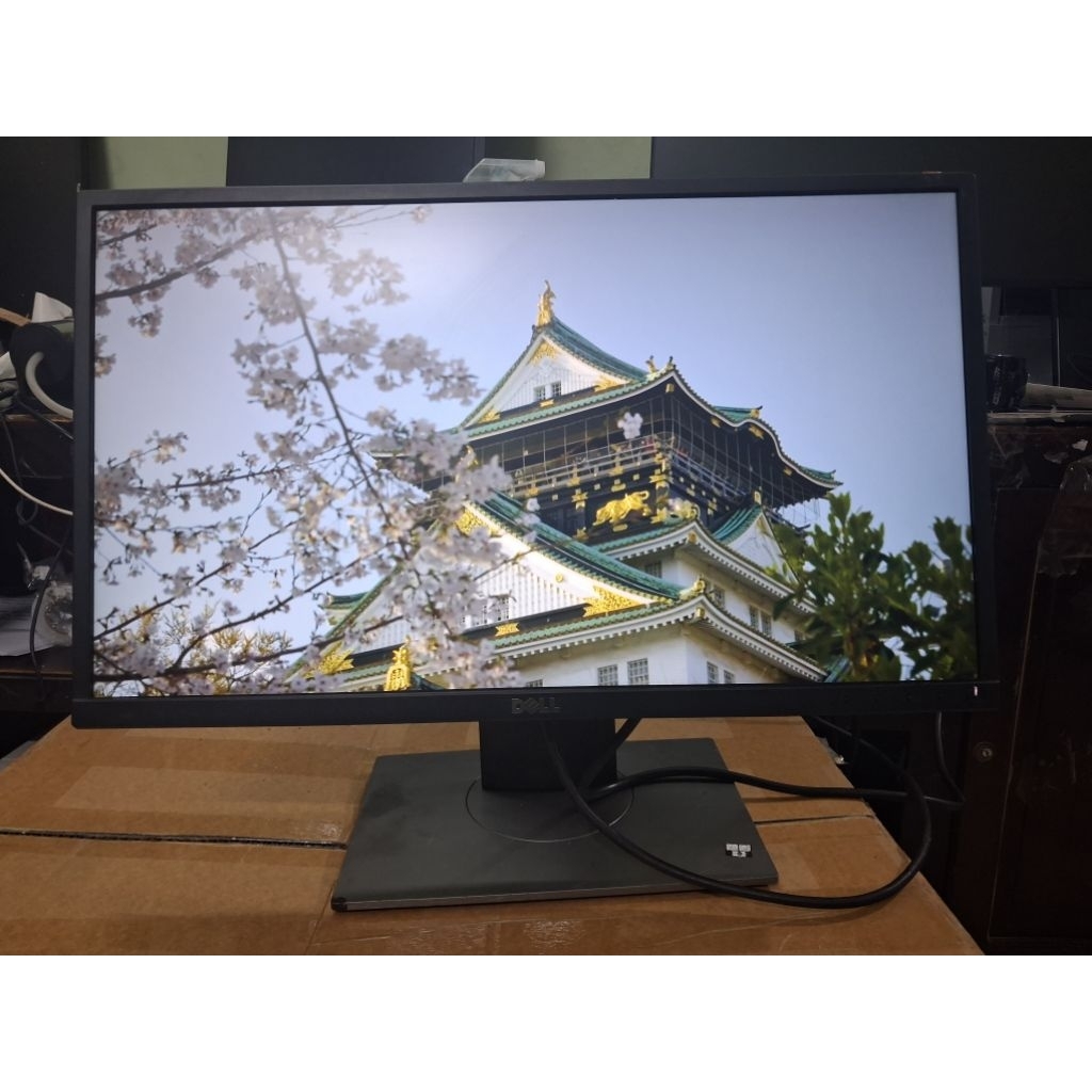 Màn hình Dell P2317h