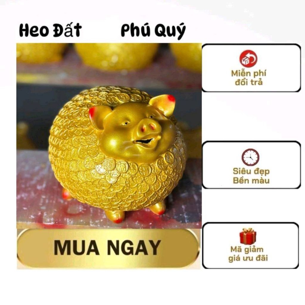 Heo đất,Lợn đất,Nhím đồng xu,ống tiết kiệm tiền,Kèm ảnh thật