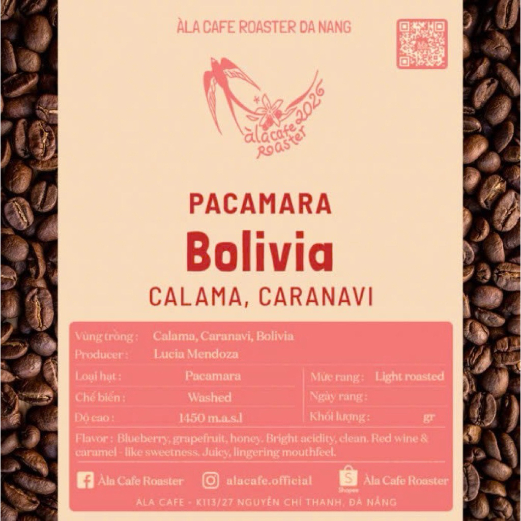 Cà phê Specialty Bolivia Pacamara Washed rang Light gói 100g nguyên hạt