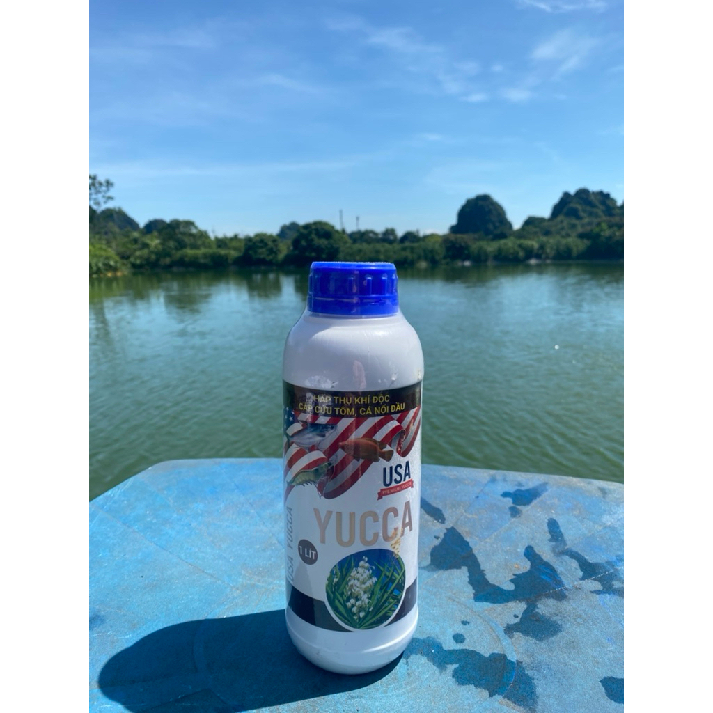 YUCA USA (flash sale)