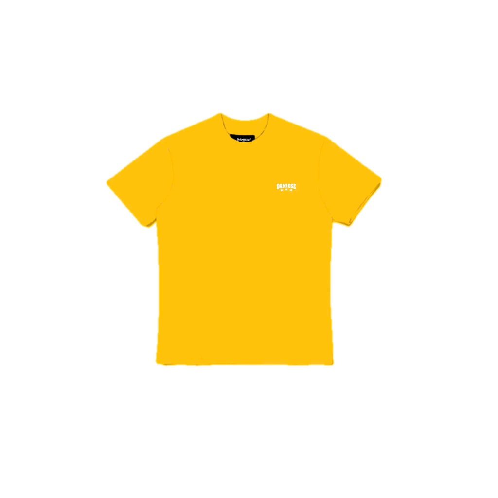 ÁO THUN NỮ BABYTEE “BABY BLING” DAMIESE COTTON 260GSM | BigBuy360 - bigbuy360.vn