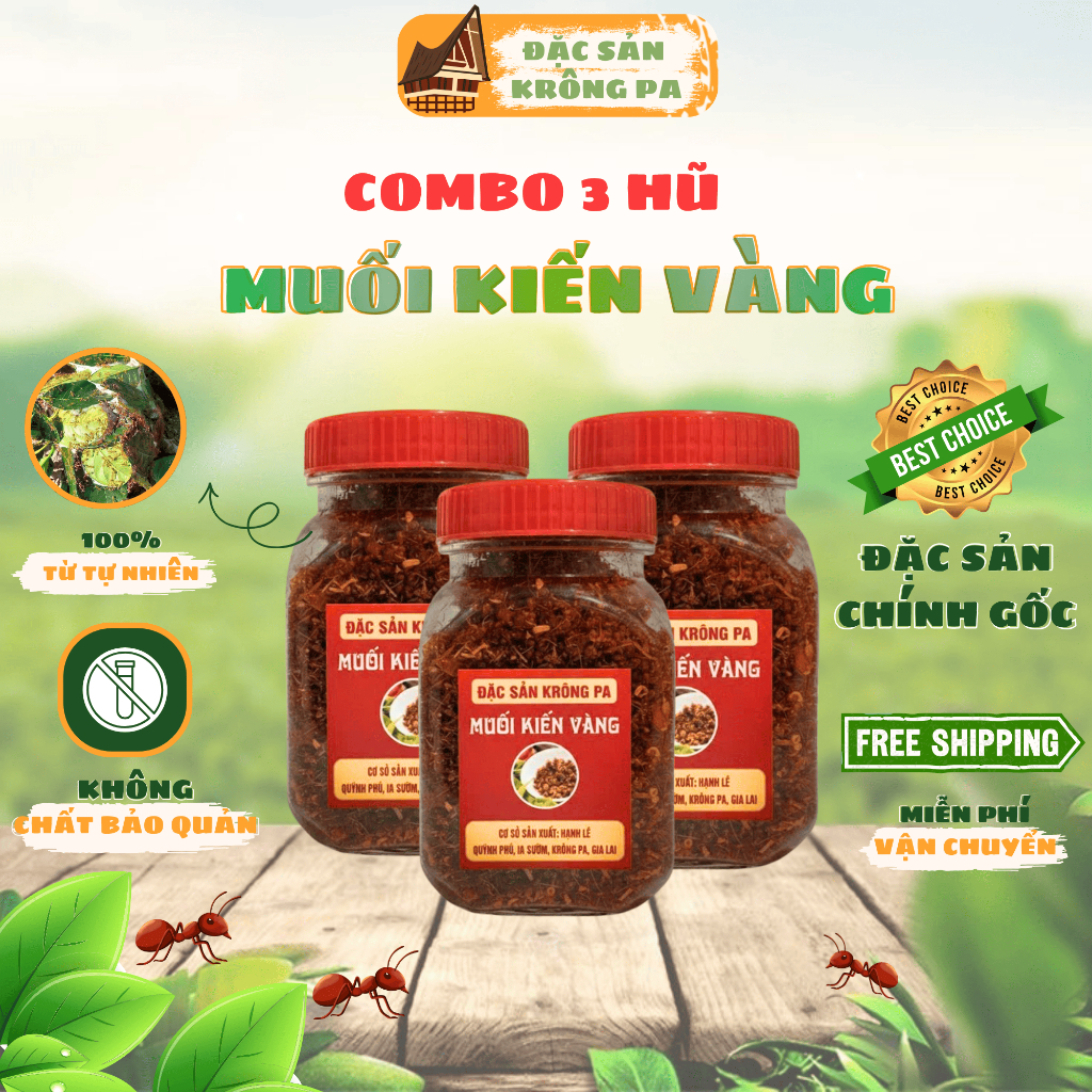 [Combo 3 hũ] Muối kiến vàng Gia Lai Đặc sản Krông Pa Nguyên liệu tự nhiên Đảm bảo an toàn thực phẩm 