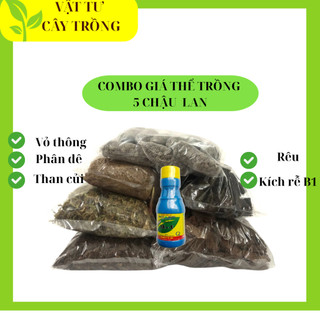 Combo Giá Thể Trồng Lan F20 5 Chậu Lan Khỏe Mạnh – Trọn Bộ, tiện lợi, nhanh, sạch sẽ đã qua xử lý