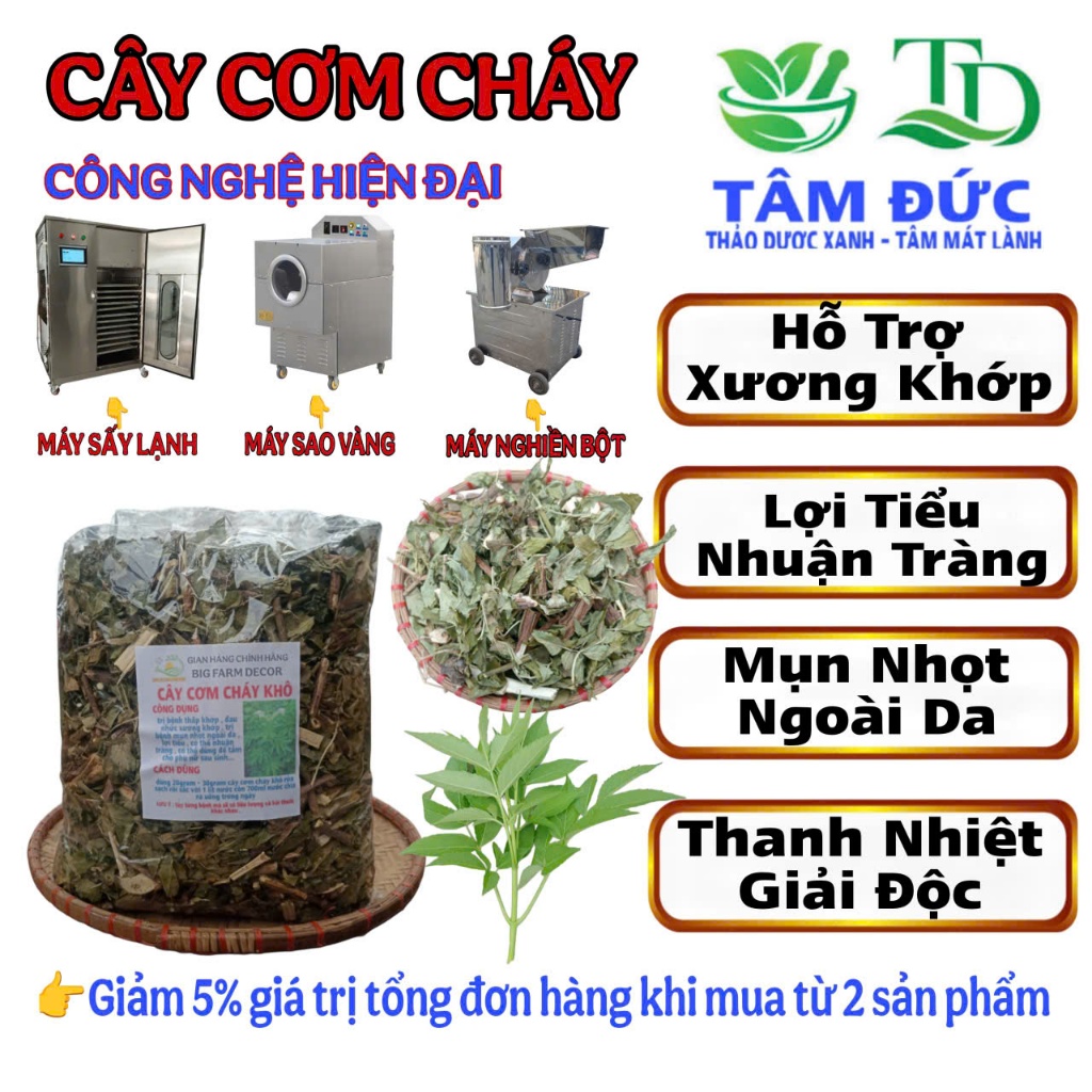 cây cơm cháy sấy khô  1KG tặng 100G cỏ ngọt