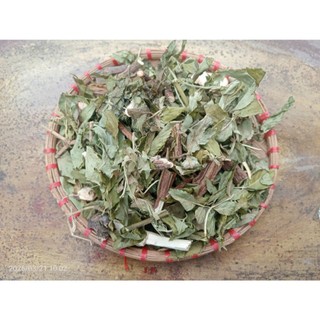 cây cơm cháy sấy khô  1KG tặng 100G cỏ ngọt