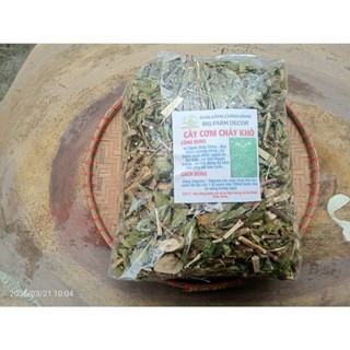 cây cơm cháy sấy khô  1KG tặng 100G cỏ ngọt