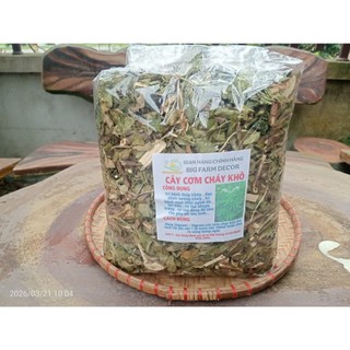 cây cơm cháy sấy khô  1KG tặng 100G cỏ ngọt