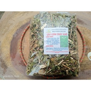 cây cơm cháy sấy khô  1KG tặng 100G cỏ ngọt