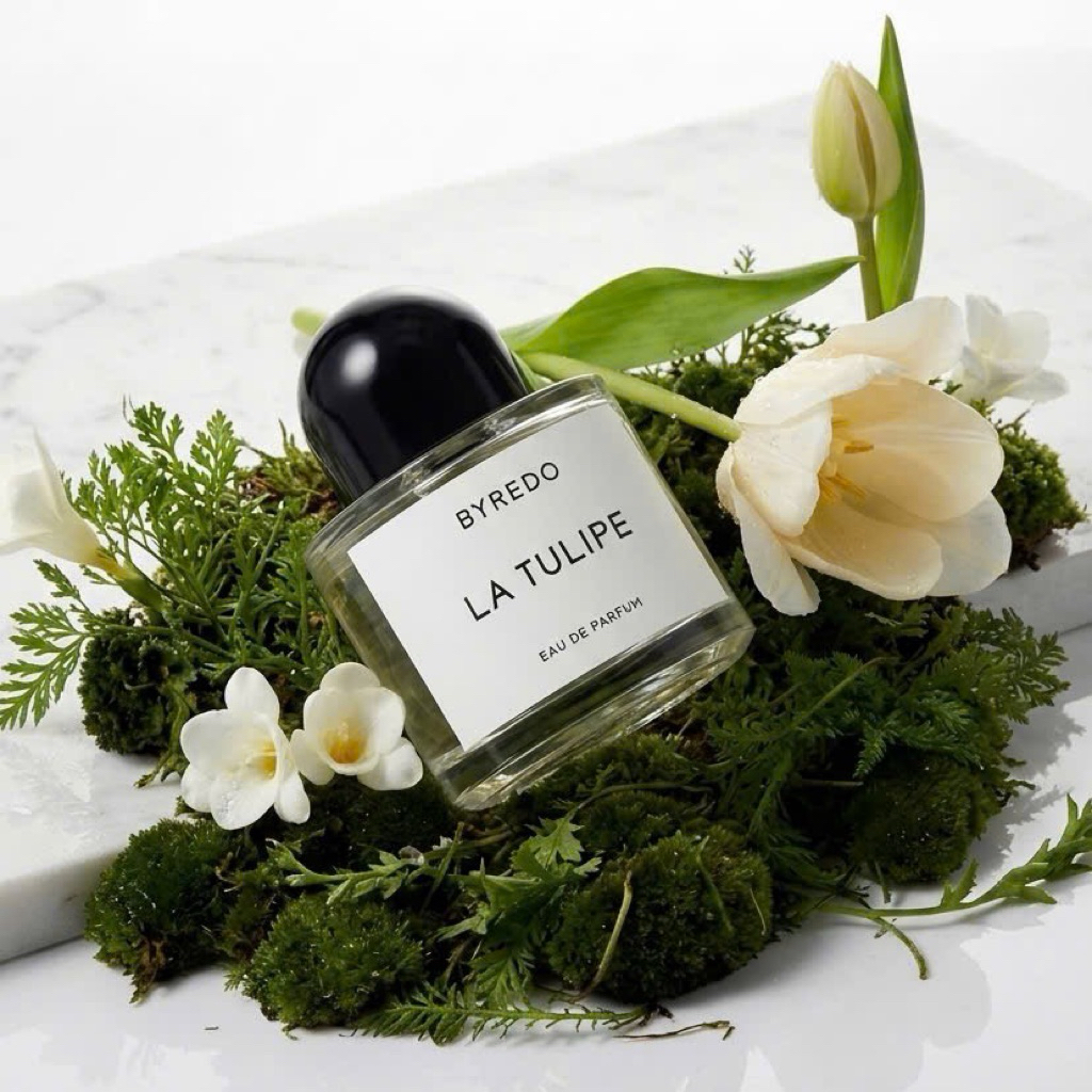 𝐁𝐘𝐑𝐄𝐃𝐎 𝐋𝐀 𝐓𝐔𝐋𝐈𝐏𝐄 🌷🌷